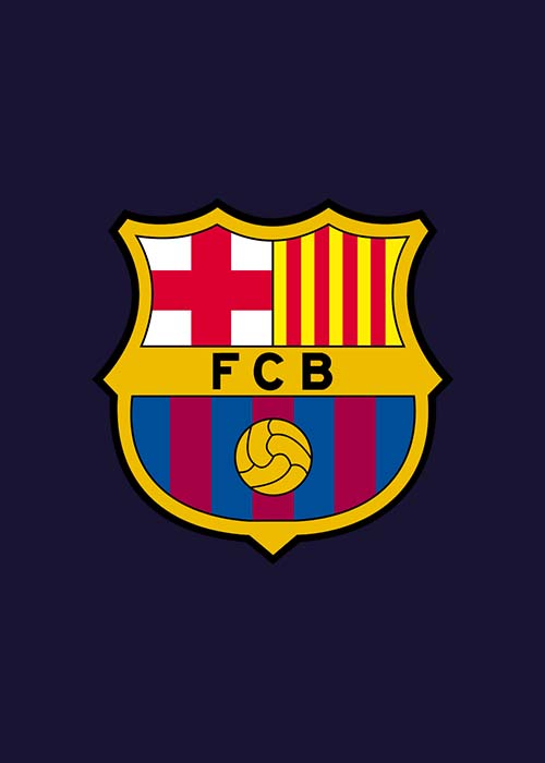 FC Barcelona - INDIBA Group (Spain)