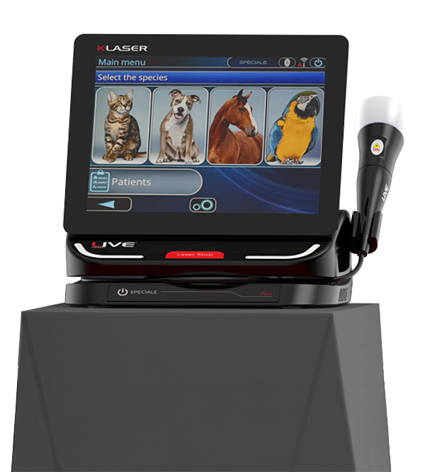 INDIBA: Global leader in Aesthetics, Beauty, Rehabilitation